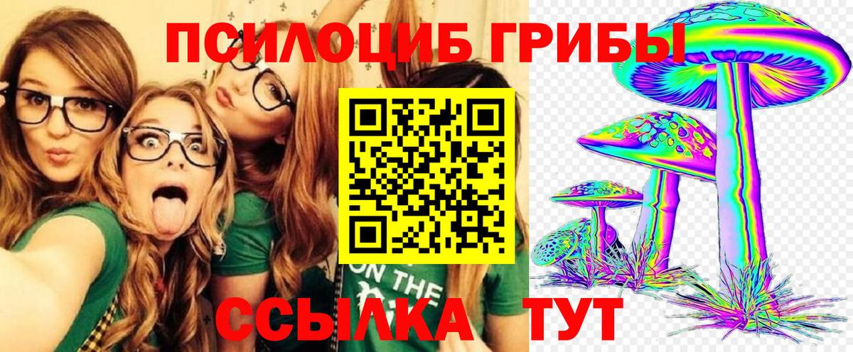 Галлюциногенные грибы Psilocybe Дивногорск