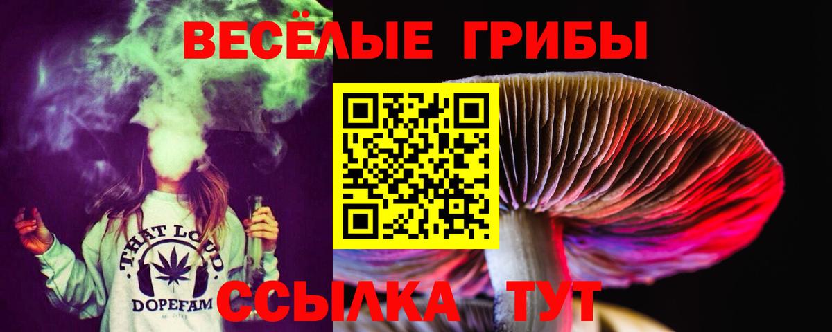 Псилоцибиновые грибы прущие грибы  Вход с VPN  Дивногорск 